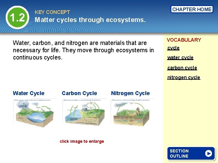 1. 2 CHAPTER HOME KEY CONCEPT Matter cycles through ecosystems. Water, carbon, and nitrogen