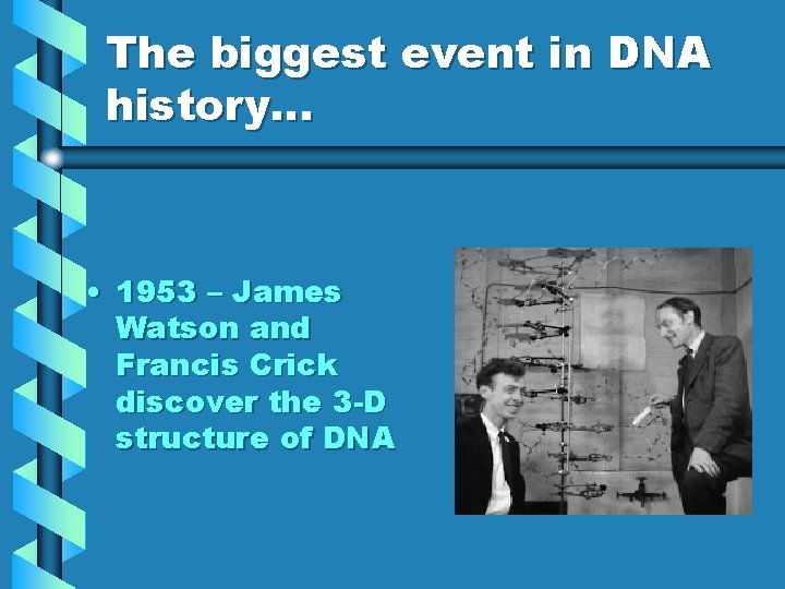 The biggest event in DNA history… • 1953 – James Watson and Francis Crick