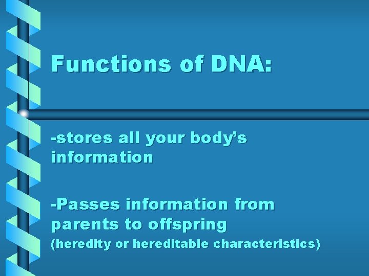 Functions of DNA: -stores all your body’s information -Passes information from parents to offspring