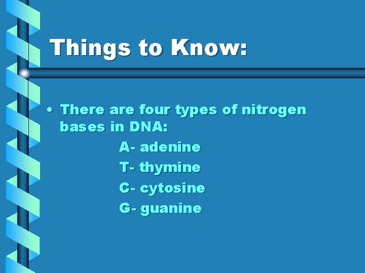 Things to Know: • There are four types of nitrogen bases in DNA: A-