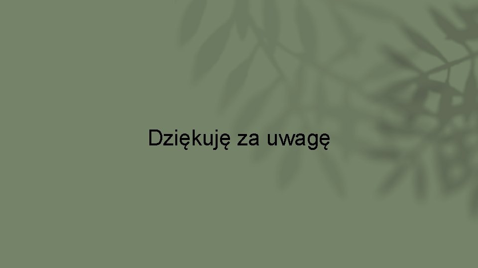 Dziękuję za uwagę 