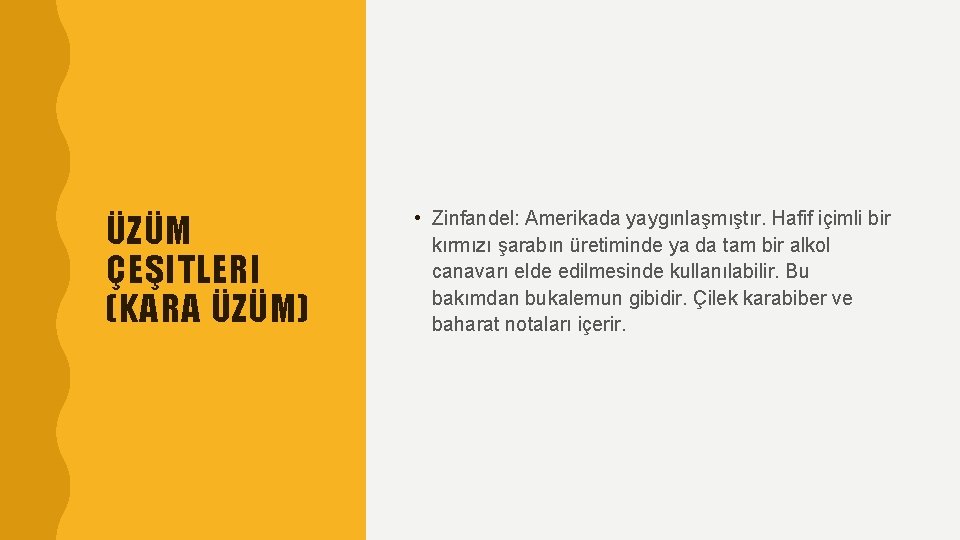 ÜZÜM ÇEŞITLERI (KARA ÜZÜM) • Zinfandel: Amerikada yaygınlaşmıştır. Hafif içimli bir kırmızı şarabın üretiminde
