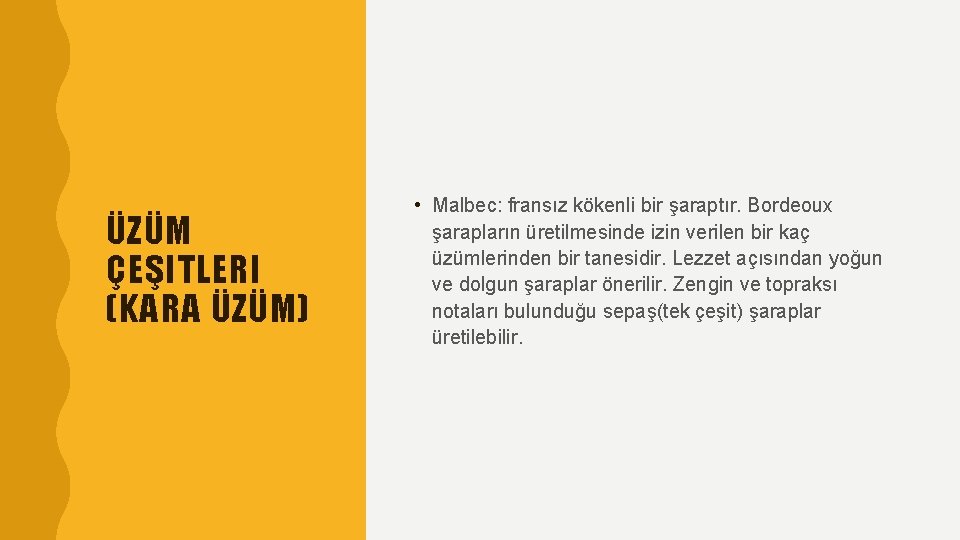 ÜZÜM ÇEŞITLERI (KARA ÜZÜM) • Malbec: fransız kökenli bir şaraptır. Bordeoux şarapların üretilmesinde izin