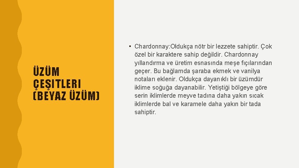 ÜZÜM ÇEŞITLERI (BEYAZ ÜZÜM) • Chardonnay: Oldukça nötr bir lezzete sahiptir. Çok özel bir