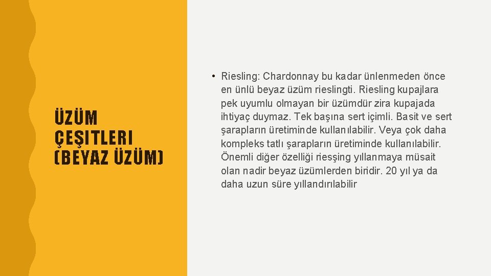 ÜZÜM ÇEŞITLERI (BEYAZ ÜZÜM) • Riesling: Chardonnay bu kadar ünlenmeden önce en ünlü beyaz