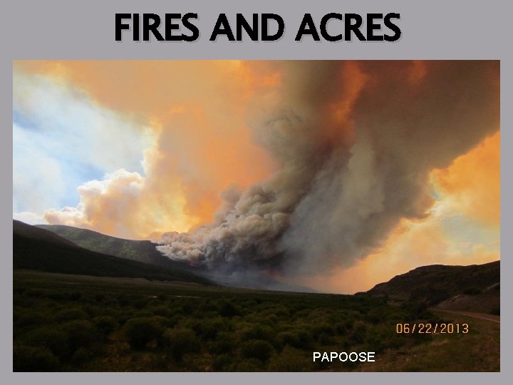 FIRES AND ACRES FIRES and ACRES TOTALS PAPOOSE 