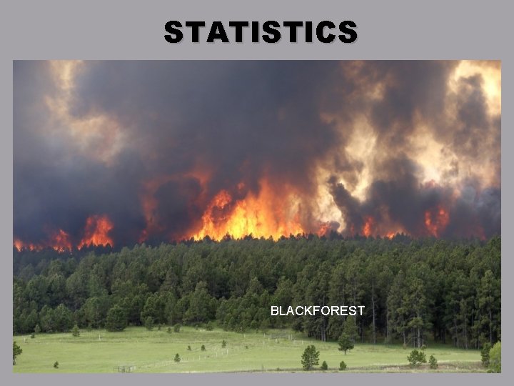 STATISTICS BLACKFOREST 