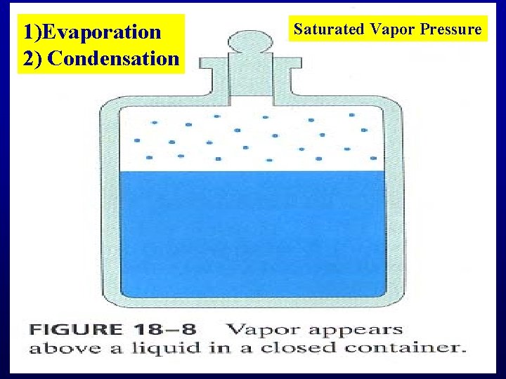 1)Evaporation 2) Condensation Saturated Vapor Pressure 