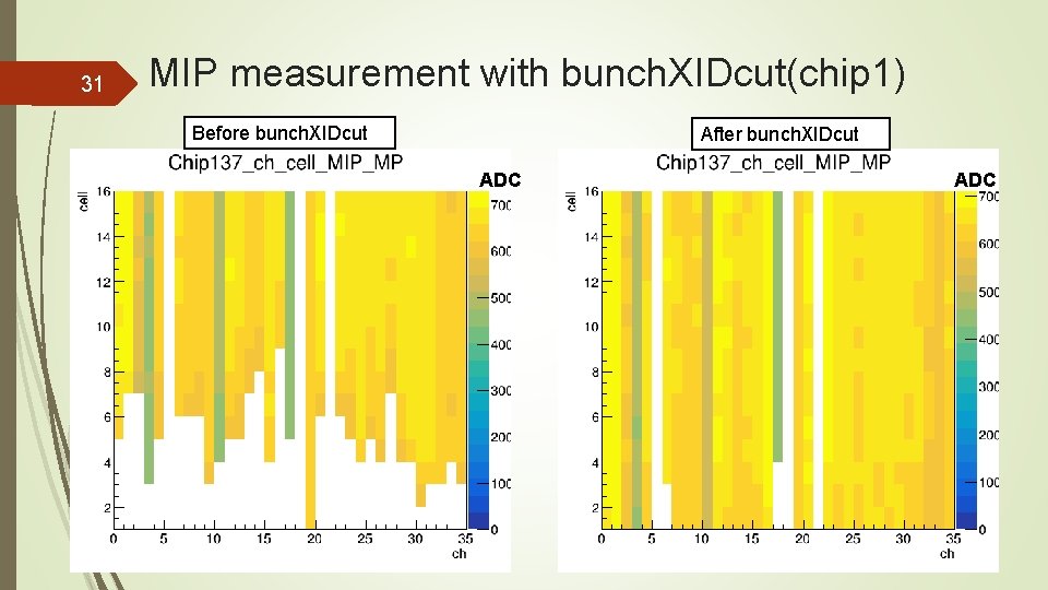 31 MIP measurement with bunch. XIDcut(chip 1) Before bunch. XIDcut After bunch. XIDcut ADC