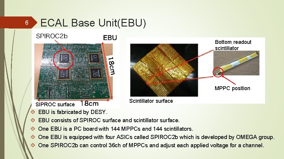 ECAL Base Unit(EBU) 6 Bottom readout scintillator MPPC position SIPROC surface Scintillator surface EBU