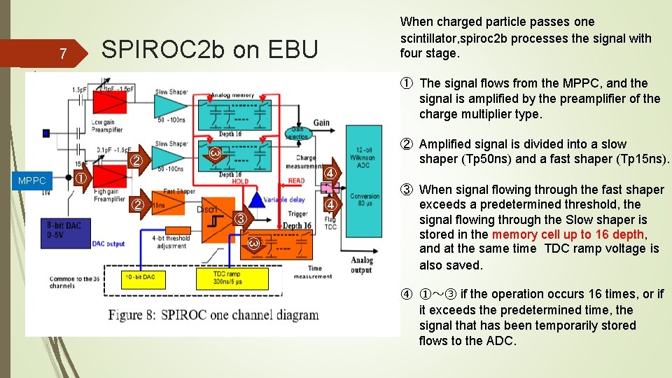 When charged particle passes one scintillator, spiroc 2 b processes the signal with four