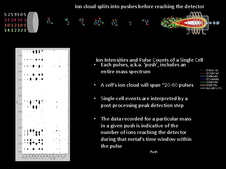 Ion cloud splits into pushes before reaching the detector 5259505 2124312 1012101 1412321 Ion