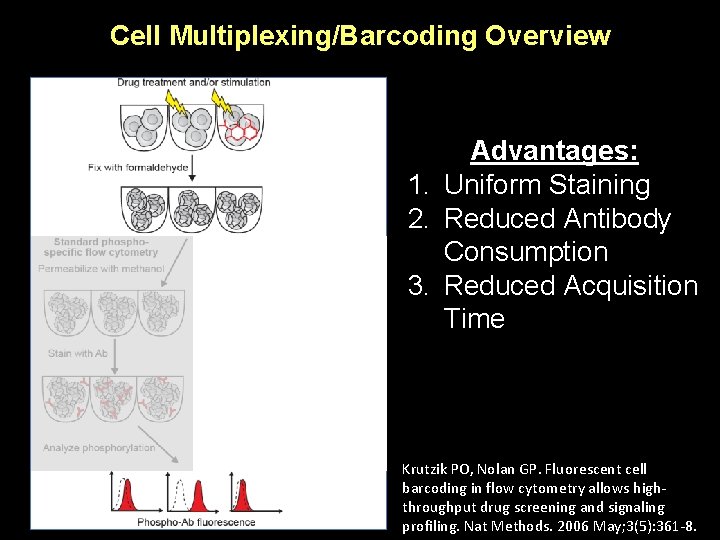 Cell Multiplexing/Barcoding Overview 1. 2. 3. 4. Advantages: Uniform Staining Reduced Antibody Consumption Reduced
