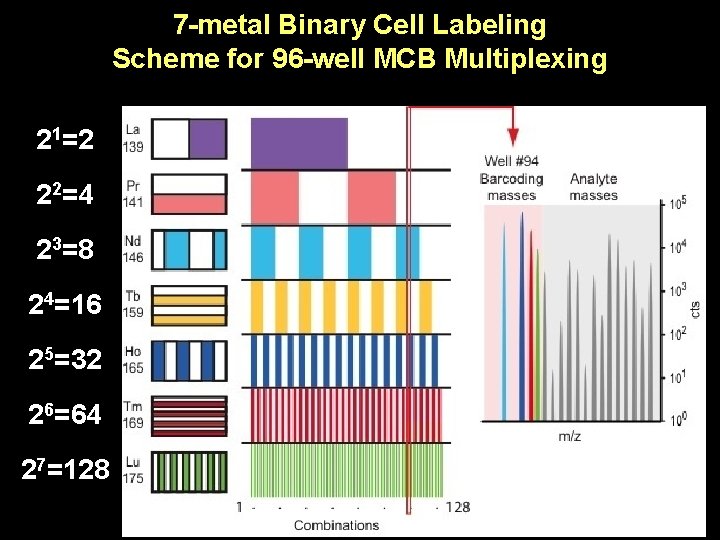 7 -metal Binary Cell Labeling Scheme for 96 -well MCB Multiplexing 21=2 22=4 23=8