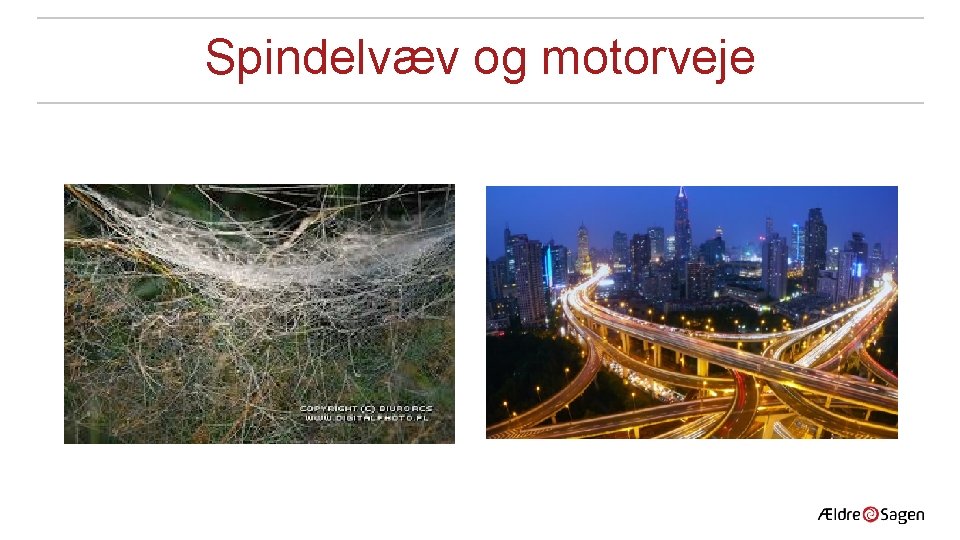 Spindelvæv og motorveje 