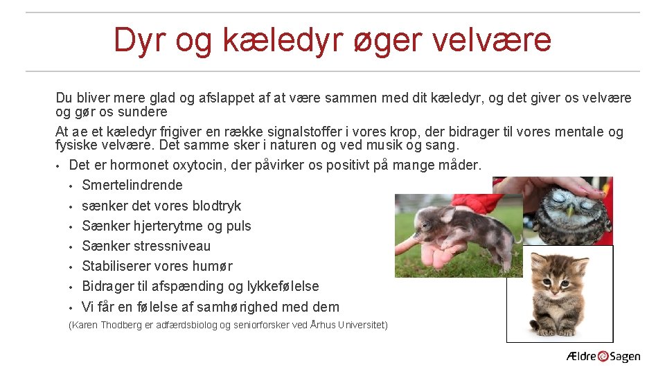 Dyr og kæledyr øger velvære Du bliver mere glad og afslappet af at være