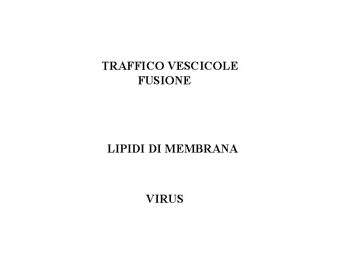 TRAFFICO VESCICOLE FUSIONE LIPIDI DI MEMBRANA VIRUS 