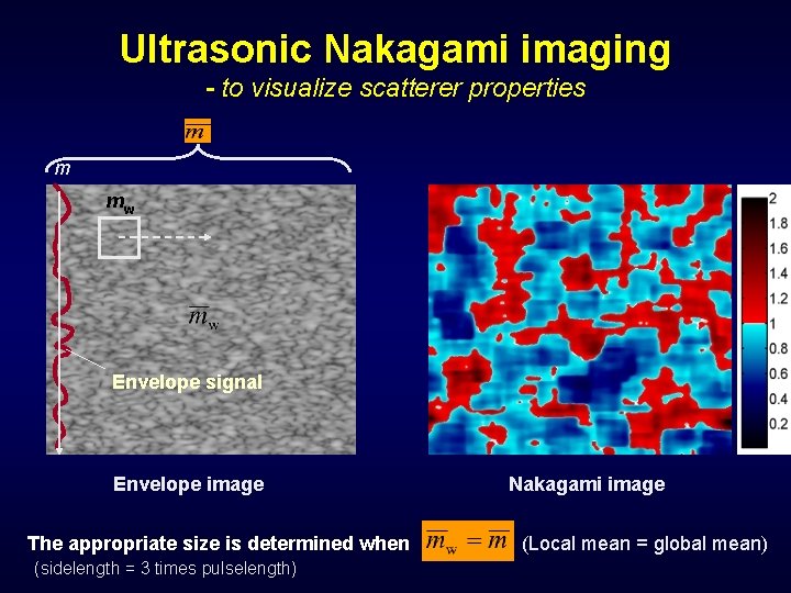 Ultrasonic Nakagami imaging - to visualize scatterer properties m mw Envelope signal Envelope image