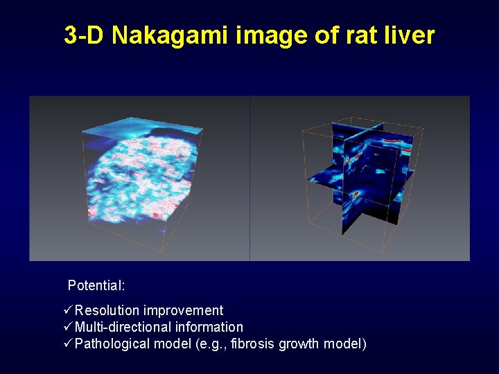 3 -D Nakagami image of rat liver Potential: üResolution improvement üMulti-directional information üPathological model