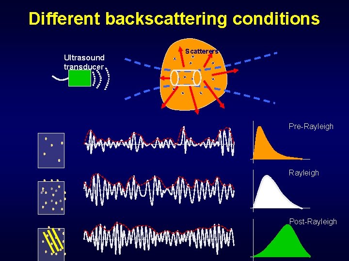 Different backscattering conditions Ultrasound transducer Scatterers Pre-Rayleigh Post-Rayleigh 