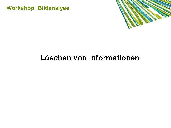 Workshop: Bildanalyse Löschen von Informationen 
