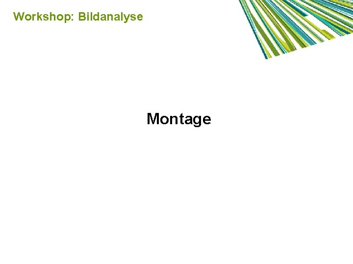 Workshop: Bildanalyse Montage 