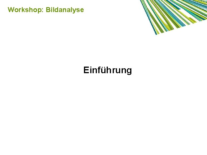 Workshop: Bildanalyse Einführung 