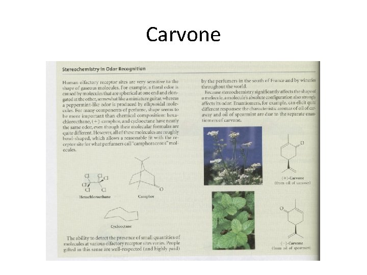 Carvone 