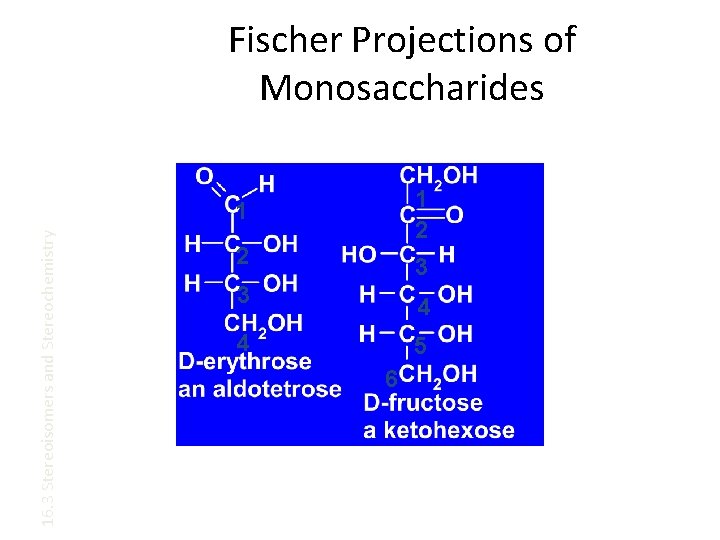 Fischer Projections of Monosaccharides 1 2 16. 3 Stereoisomers and Stereochemistry 1 2 3
