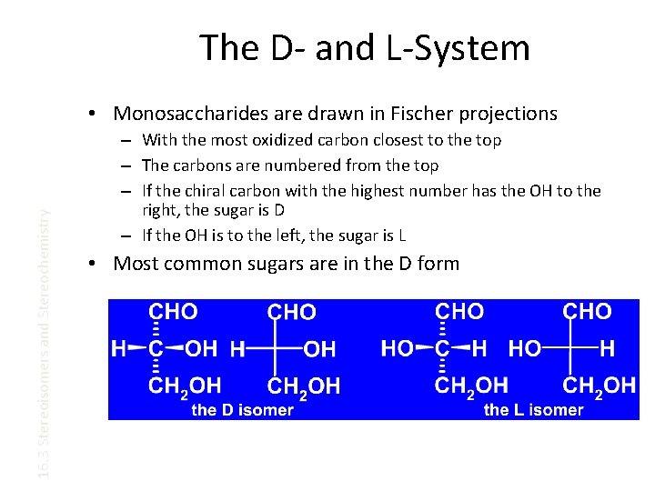 The D- and L-System 16. 3 Stereoisomers and Stereochemistry • Monosaccharides are drawn in