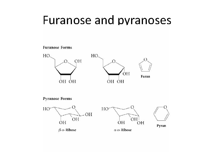 Furanose and pyranoses 