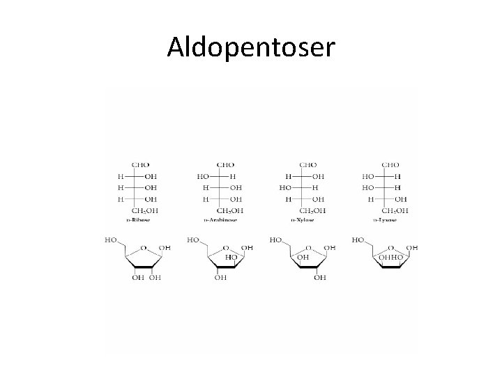 Aldopentoser 