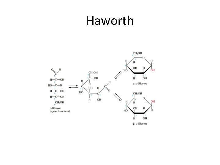 Haworth 