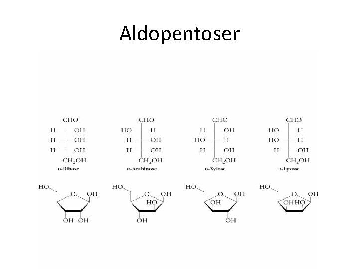 Aldopentoser 