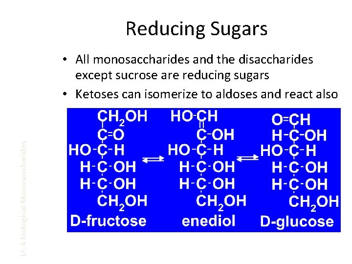 Reducing Sugars 16. 4 Biological Monosaccharides • All monosaccharides and the disaccharides except sucrose