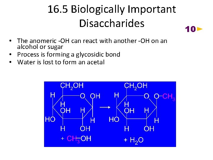 16. 5 Biologically Important Disaccharides • The anomeric -OH can react with another -OH