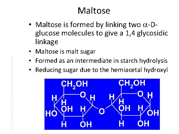 Maltose 16. 5 Biologically Important Disaccharides • Maltose is formed by linking two a-Dglucose