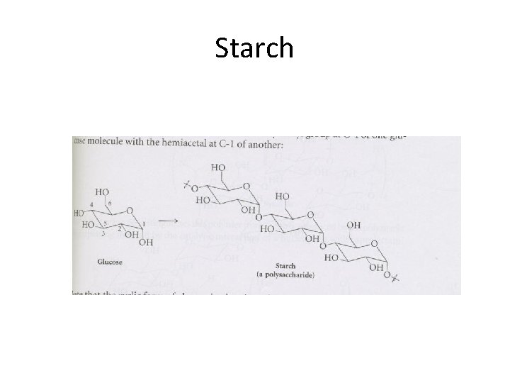 Starch 