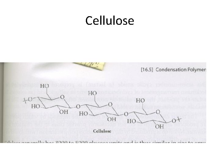 Cellulose 