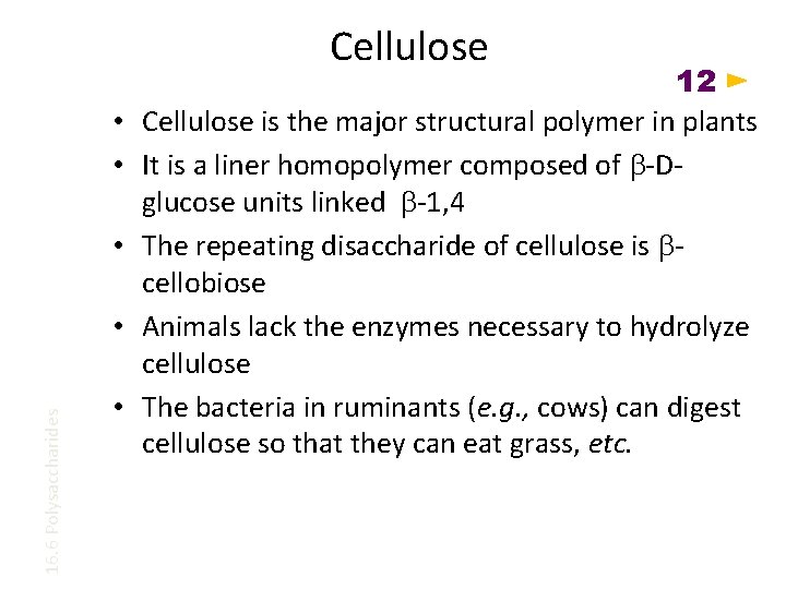 Cellulose • • • 16. 6 Polysaccharides • • 12 Cellulose is the major