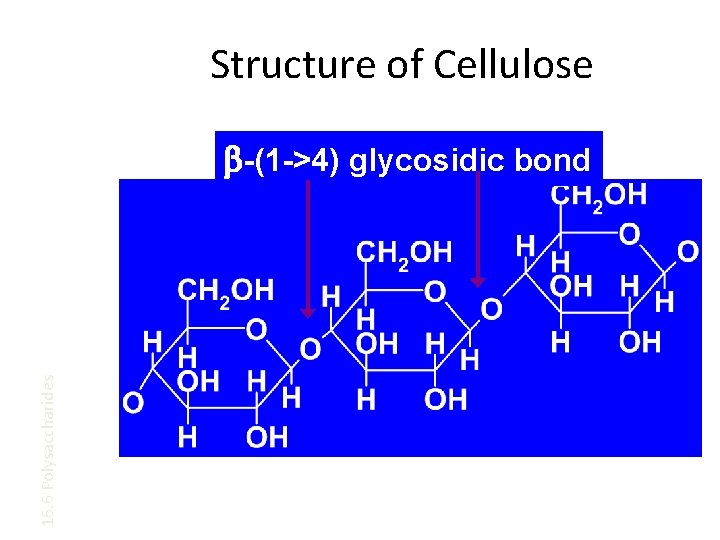 Structure of Cellulose 16. 6 Polysaccharides b-(1 ->4) glycosidic bond 