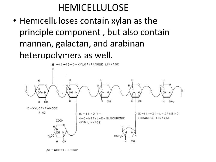 HEMICELLULOSE • Hemicelluloses contain xylan as the principle component , but also contain mannan,