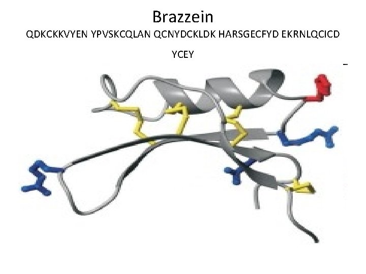 Brazzein QDKCKKVYEN YPVSKCQLAN QCNYDCKLDK HARSGECFYD EKRNLQCICD YCEY 