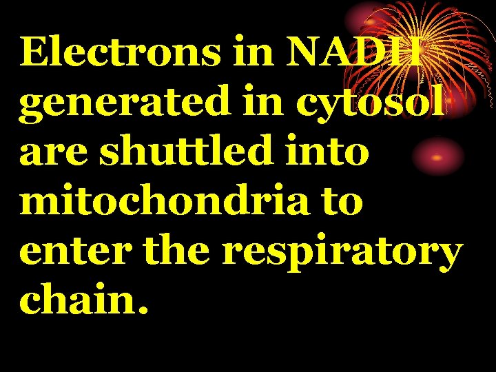 Electrons in NADH generated in cytosol are shuttled into mitochondria to enter the respiratory