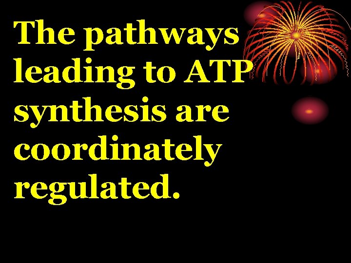 The pathways leading to ATP synthesis are coordinately regulated. 