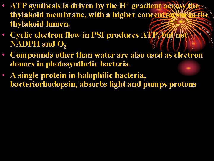  • ATP synthesis is driven by the H+ gradient across the thylakoid membrane,