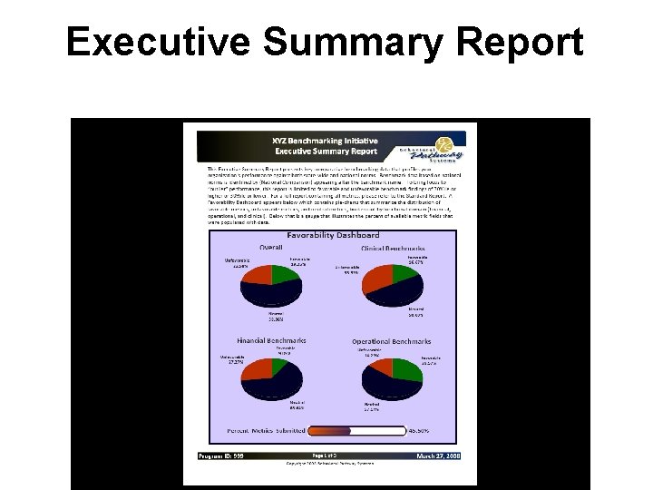 Executive Summary Report 