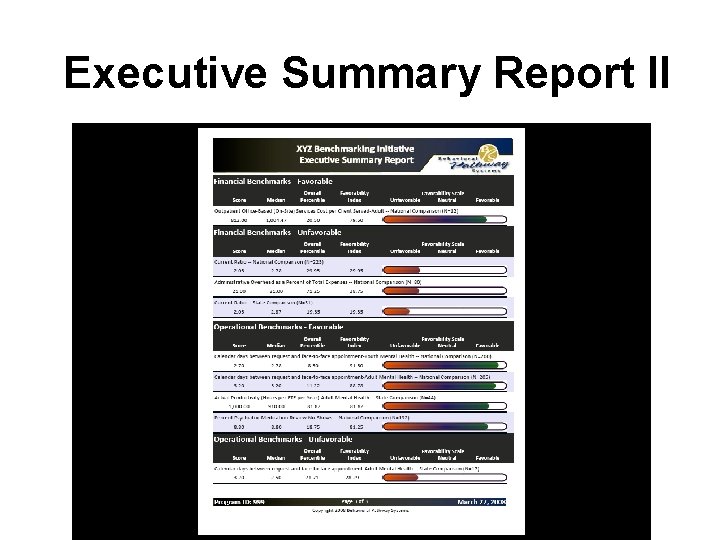 Executive Summary Report II 