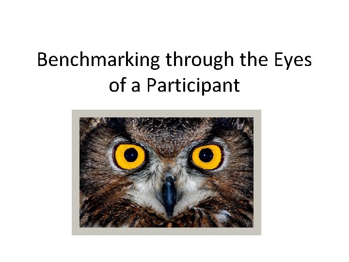 Benchmarking through the Eyes of a Participant 