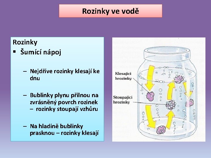 Rozinky ve vodě Rozinky § Šumící nápoj – Nejdříve rozinky klesají ke dnu –
